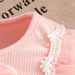 Baby Girl Mesh Bow Dress – Long Sleeve Princess Outfit for Spring & Autumn (0–24 Months)